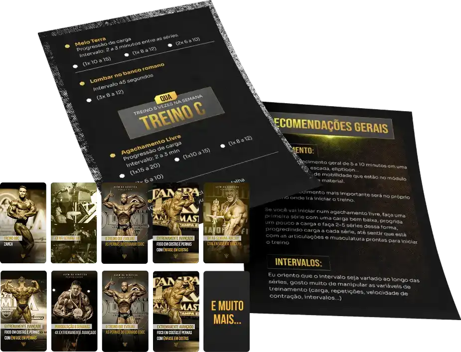 Planillas de entrenamiento